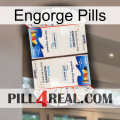 Engorge Pills kamagra1